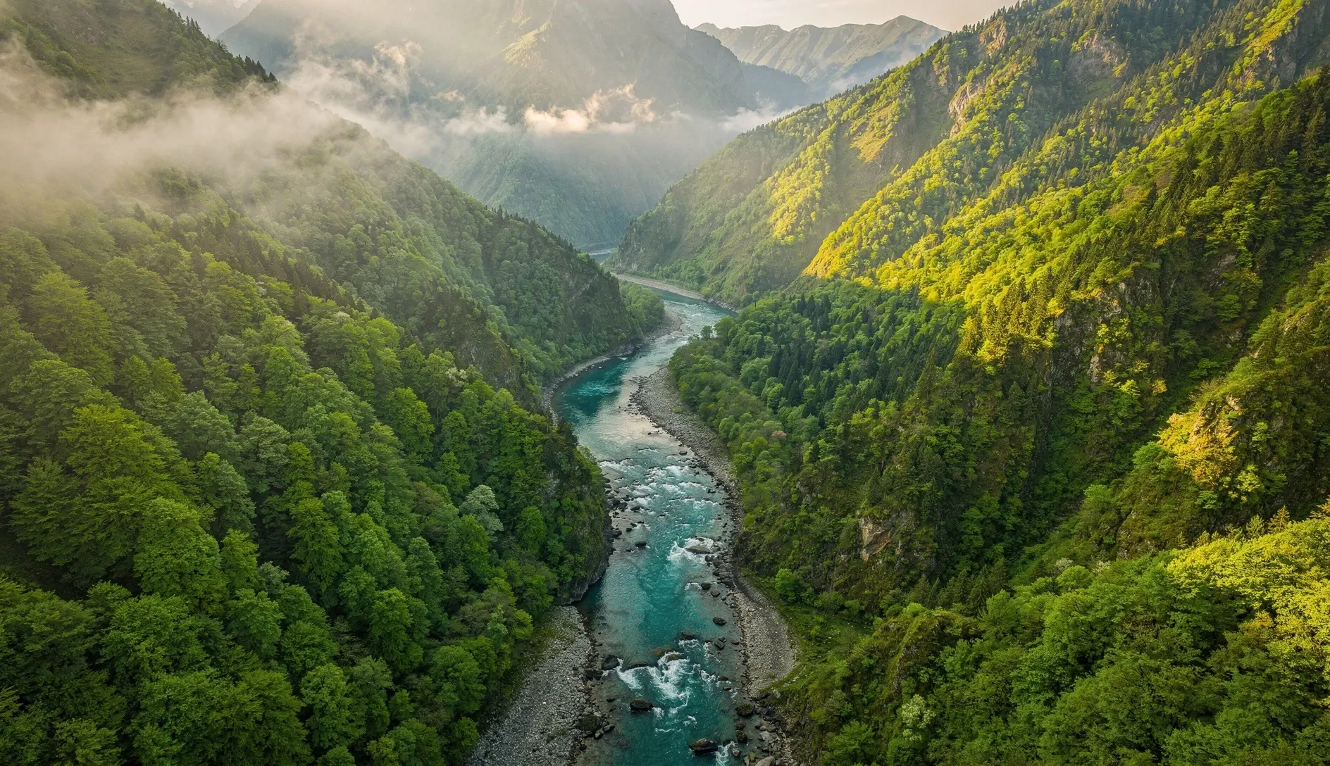 Aerial view of a deep forested river gorge cutting through the lush Caucasus mountains in Lagodekhi National Park, Georgia